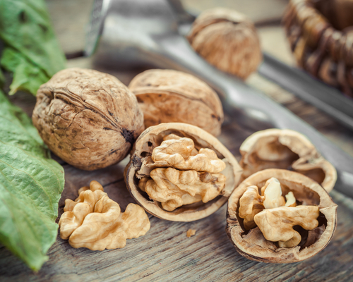 Dobře sestavený jídelníček s vyrovnaným poměrem jednotlivých nutrientů je klíčem ke zdraví. Vlašeské ořechy by neměly chybět. 