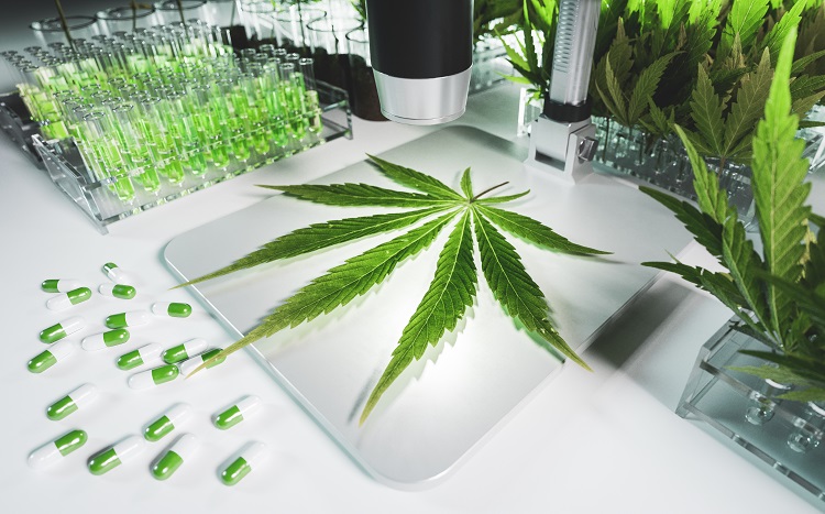 Laborumgebung, in der ein Cannabisblatt liegt, Ampulle mit H4CBD-Destillat
