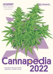 Cannapedia Calendario 2022 - Legendario variedades de cannabis + 2x semilla (TH Seeds Seedstockers)