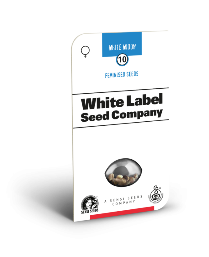 Sensi Seeds Cannabis Seeds White Widow Feminized by White Label, 3-10 kpl