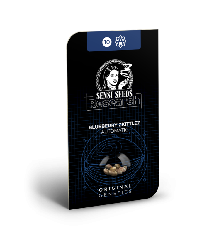 Sensi Seeds Żerriegħa tal-Kannabis Blueberry Zkittlez Femminizzati Awtomatiċi, 3-10 pcs