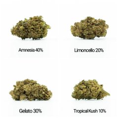 HHC Gėlės pavyzdys rinkinys - Tropical Kush 10%, Limoncello 20%, Gelato 30%, Amnesia 40%- 4x1g