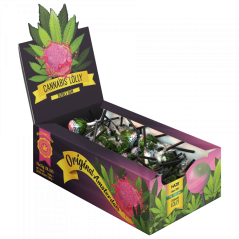 Cannabis Bubble Gum Lollies – Display Carton (70 Lollies)