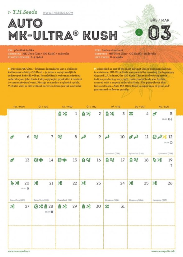 Kalender 2017 - Samonakvétací konopné odrůdy + 5x Lemon OG Haze Auto