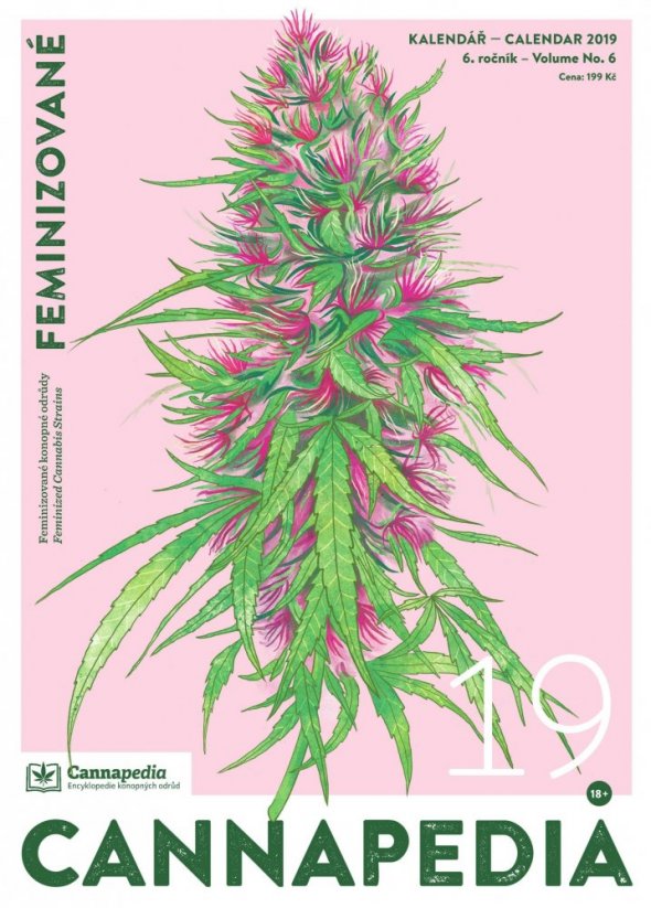 Kalendář 2019 – Feminizirane + 10x Big Bang fem od Green House Seeds
