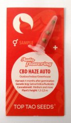 3x CBD Haze Auto (обикновени автоцъфтящи семена от Top Tao Seeds)