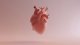 3 Anwendungen von CBD zum Schutz des Herz-Kreislauf-Systems mit Beweisen (plus  Nebenwirkungen von CBD)