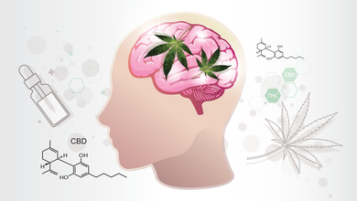 How can cannabis improve brain functioning?