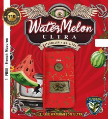 T.H.Seeds™ Hạt giống cần sa WaterMelon Ultra, nhiều loại, đã được xử lý theo phương pháp nữ tính