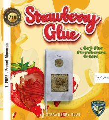 T.H.Seeds™ Hạt giống cần sa Strawberry Glue, nhiều gói, đã được xử lý nữ tính