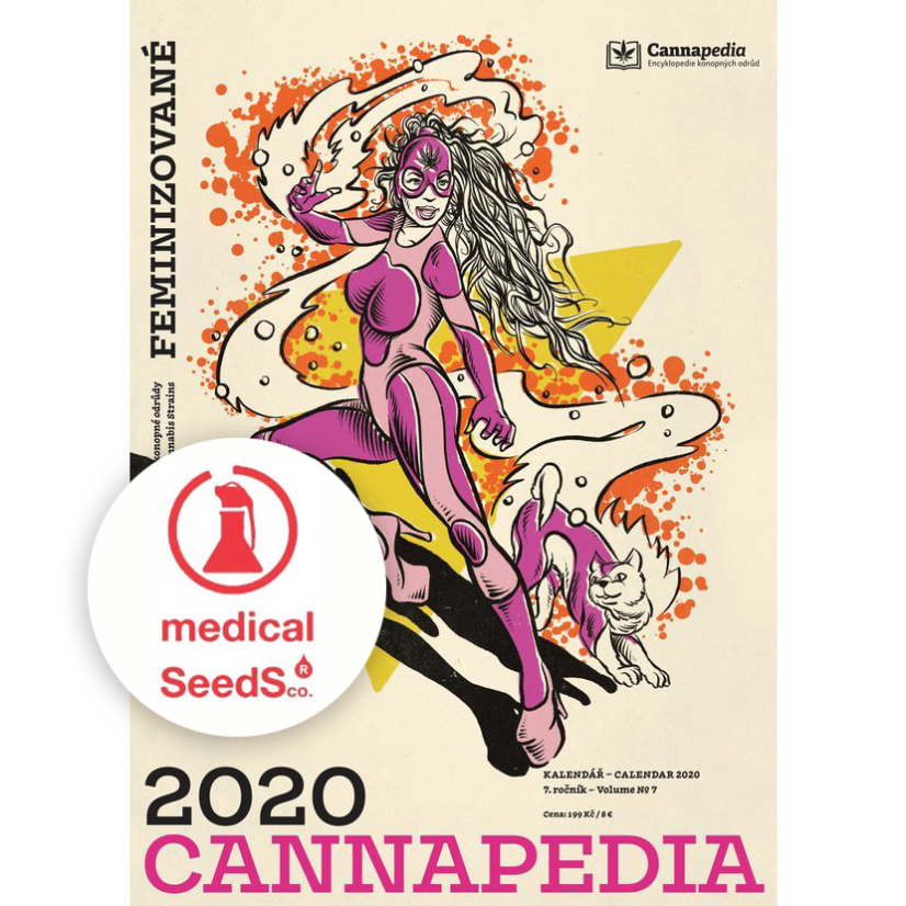 Calendar 2020 and 7x cannabis seed from Medical Seeds