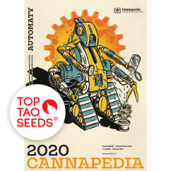 Kalendář 2020 - Samonakvétačky + 21 semen od Top Tao Seeds