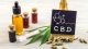 Plnospektrální CBD olej vs. CBD izolát: V čem se liší?