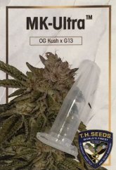 1x MK-Ultra (feminized seed by TH Seeds)
