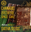 Emballage Brownie Deluxe de graines de cannabis Sativa (saveur Sativa moyenne) - Carton (24 paquets)