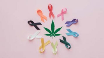 Can CBD help with cancer and the side effects of chemotherapy?