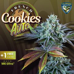 T.H.Seeds™ Cannabis Seeds Auto French Cookies, 6+1 Pack, feminiserade