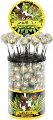 Cannabis Gräddchoklad Lollies – Display Behållare (100 Lollies)