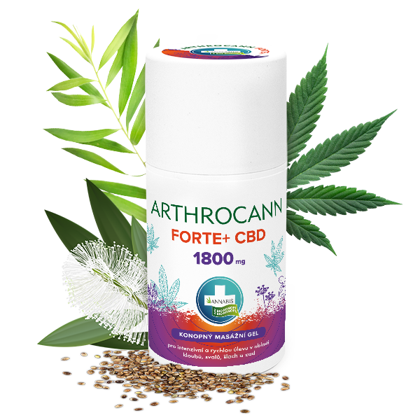 Annabis Arthrocann Gel Forte+ 1800 mg CBD Żel do masażu dla kolosalnej ulgi
