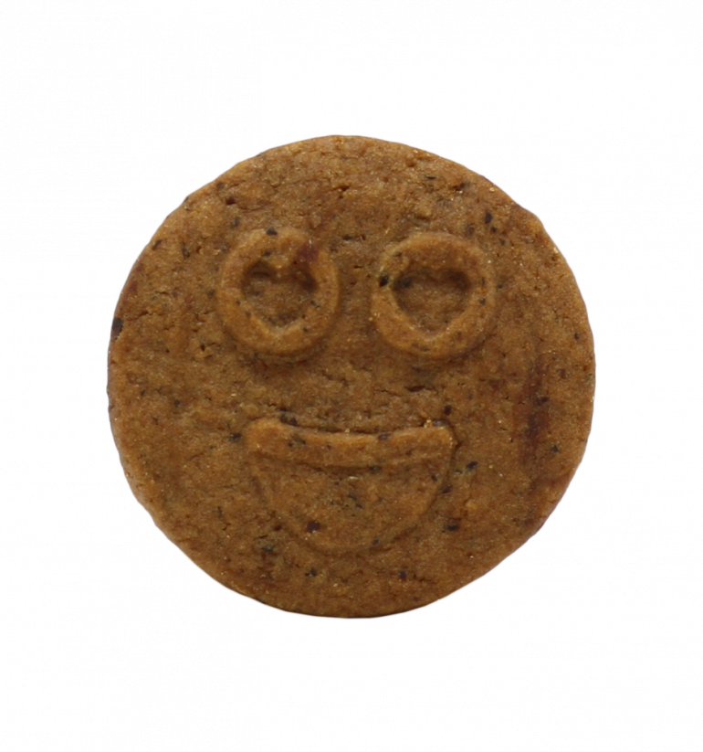 Euphoria High Cannabis Chocholate -keksejä CBD:llä, 100g