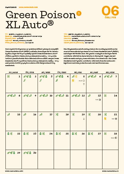 Kalendář 2020 - Samonakvétačky + 10x Auto NL od Female Seeds