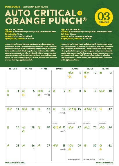 Samonakvétací kalendář 2019 + semínka od Dutch Passion