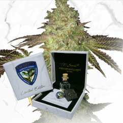 T.H.Seeds™ Kanepiseemnete piiratud tavaväljaande sünnipäevatort X sünnipäevatort X SBC, 11 pakk