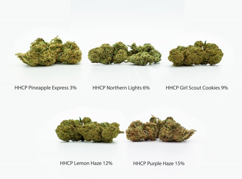 Pack d'échantillons de fleurs HHCP - Pineapple Express 3%, Northern Lights 6%, Girl Scout Cookies 9%, Lemon Haze 12%, Purple Haze 15%, 5 x 1 g