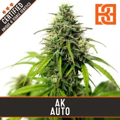 Blimburn Seeds Żerriegħa tal-Kannabis AK Auto