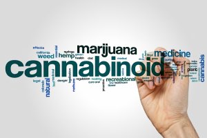 Känner du till cannabinoiden THCP?