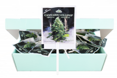 HaZe Cannabis White Widow Lollipops – näyttölaatikko (100 tikkareita)