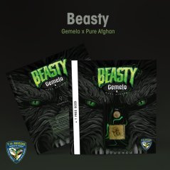 T.H.Seeds™ Żrieragħ tal-Kannabis Beasty, pakketti varji, femminizzati