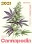 Cannapedia Calendario Lunar 2021 - Variedades de Cannabis Feminizadas + 3x semillas (Serious Seeds, Positronics Semillas y Seedstockers)