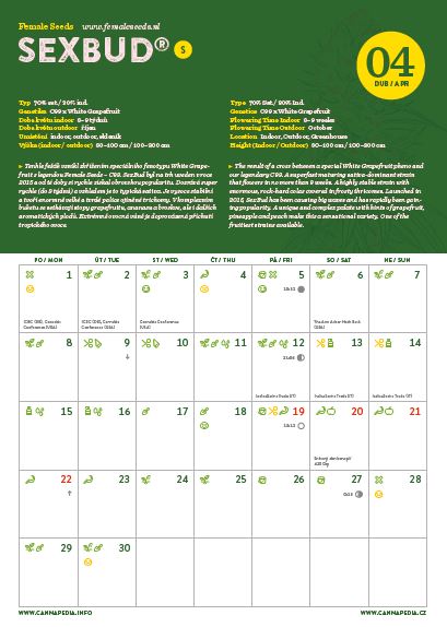 Edice Kalendářů Cannapedia 2019 + 8 semanas