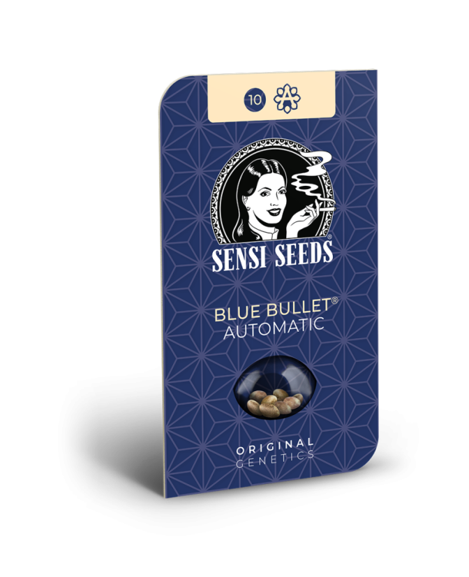 Sensi Seeds Hạt giống cần sa Blue Bullet Automatic® Feminized, 3-10 hạt