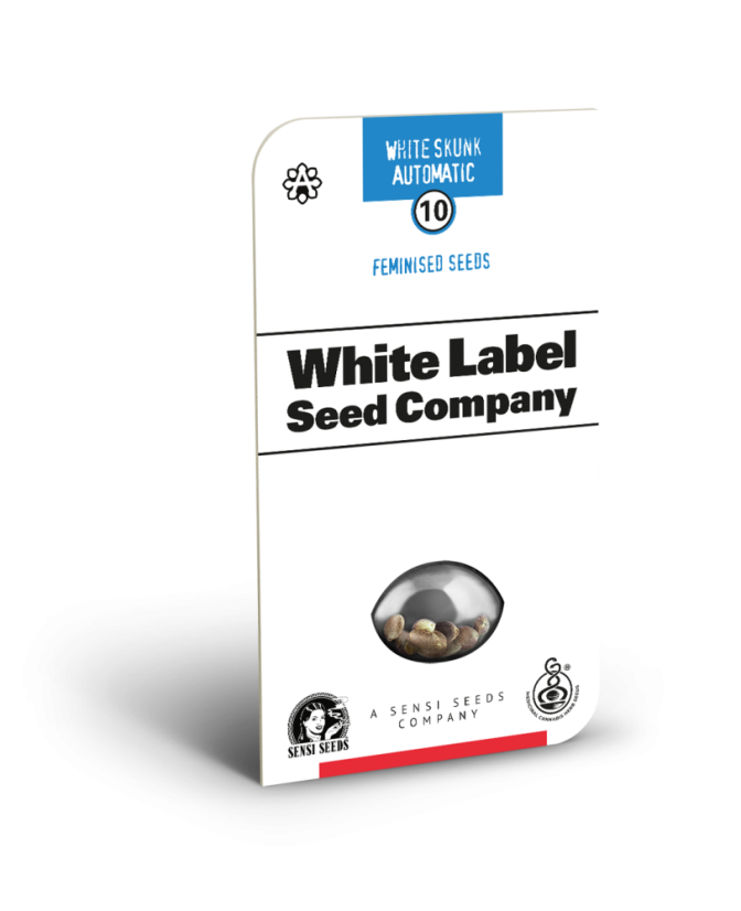 Sensi Seeds Cannabis Seeds White Skunk Automatic Feminized by White Label, 3-10 db