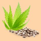 Semințe de cannabis