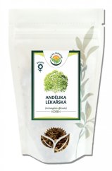 Salvia Paradise Angelica medical root 1000g