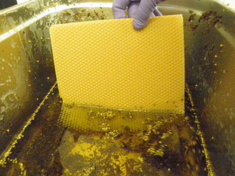 Canabis Producto Ungüento de cáñamo con cera de abejas 125 ml