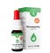 Zelená Země CBD Konopný olej 10 %, 10 ml, 1000 mg