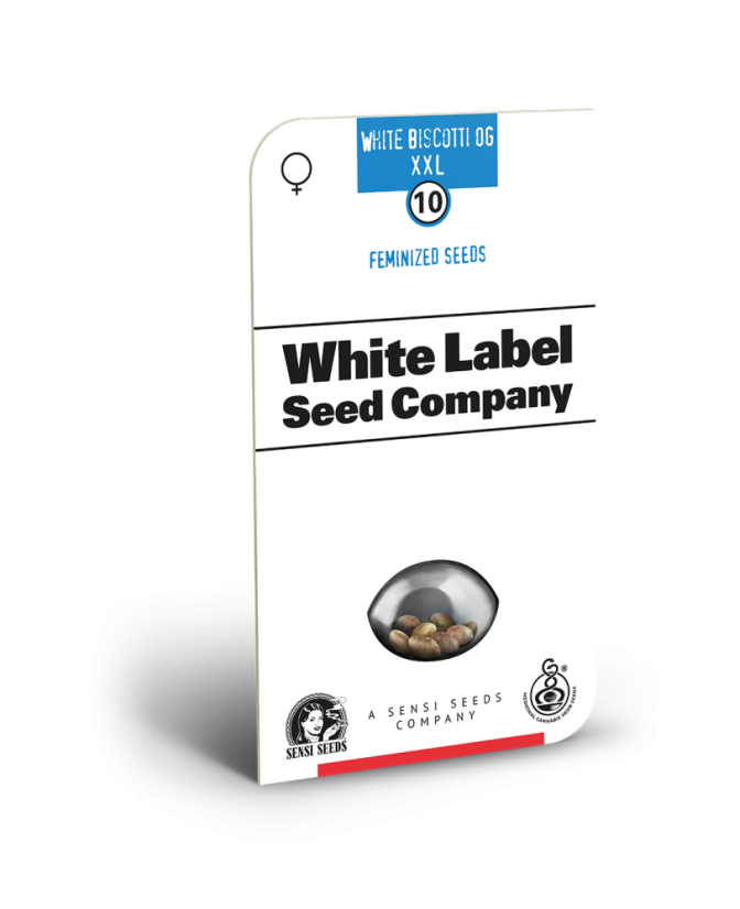 Sensi Seeds Semi di Cannabis White Biscotti OG XXL Femminizzati di White Label, 3-10 pz