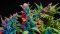 Planta de cannabis con flores de CBD de colores brillantes 