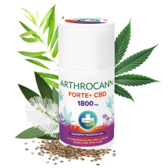 Annabis Arthrocann Gel Forte+ 1800 mg CBD Żel do masażu dla kolosalnej ulgi