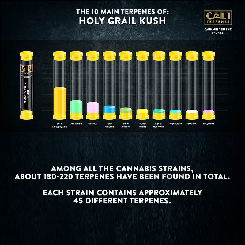 Cali Terpenes - SAINT GRAAL KUSH, 1 ml