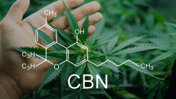 Co to jest CBN (Cannabinol)?