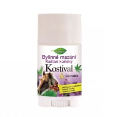 Bione Bio Cannabis bylinné mazání stick Kaštan koňský a Kostival, 45 ml