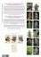 Cannapedia Ημερολόγιο 2020 - Θηλυκοποιημένα στελέχη κάνναβης + 1x θηλυκοποιημένοι σπόροι από Seedstockers