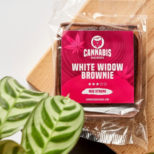 Cannabis Bakehouse janela branca Brownie