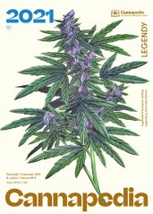 Cannapedia Calendrier Lunaire 2021 - Variétés de cannabis légendaires + 3x graines (Green House Seeds, TH Seeds et Seedstockers)
