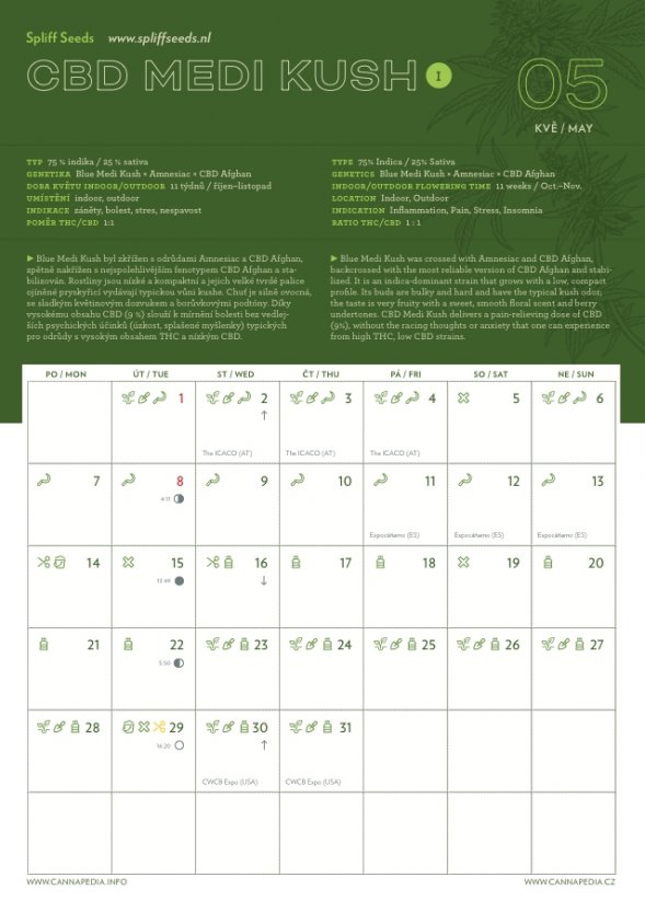 Calendario 2018 + 9 x Samonakvétací CBD semínka